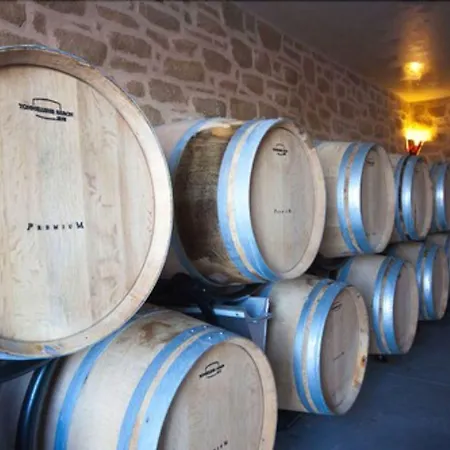 Château De Valloubière-gite Casa de Férias *