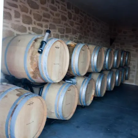 Chateau De Valloubiere-gite