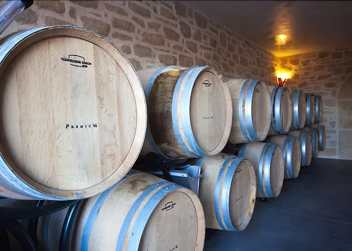 Feriehus Chateau De Valloubiere-gite *